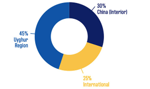 Figure 1: 2020 Polysilicon production Market share (Murphy and Elima, 2021)
